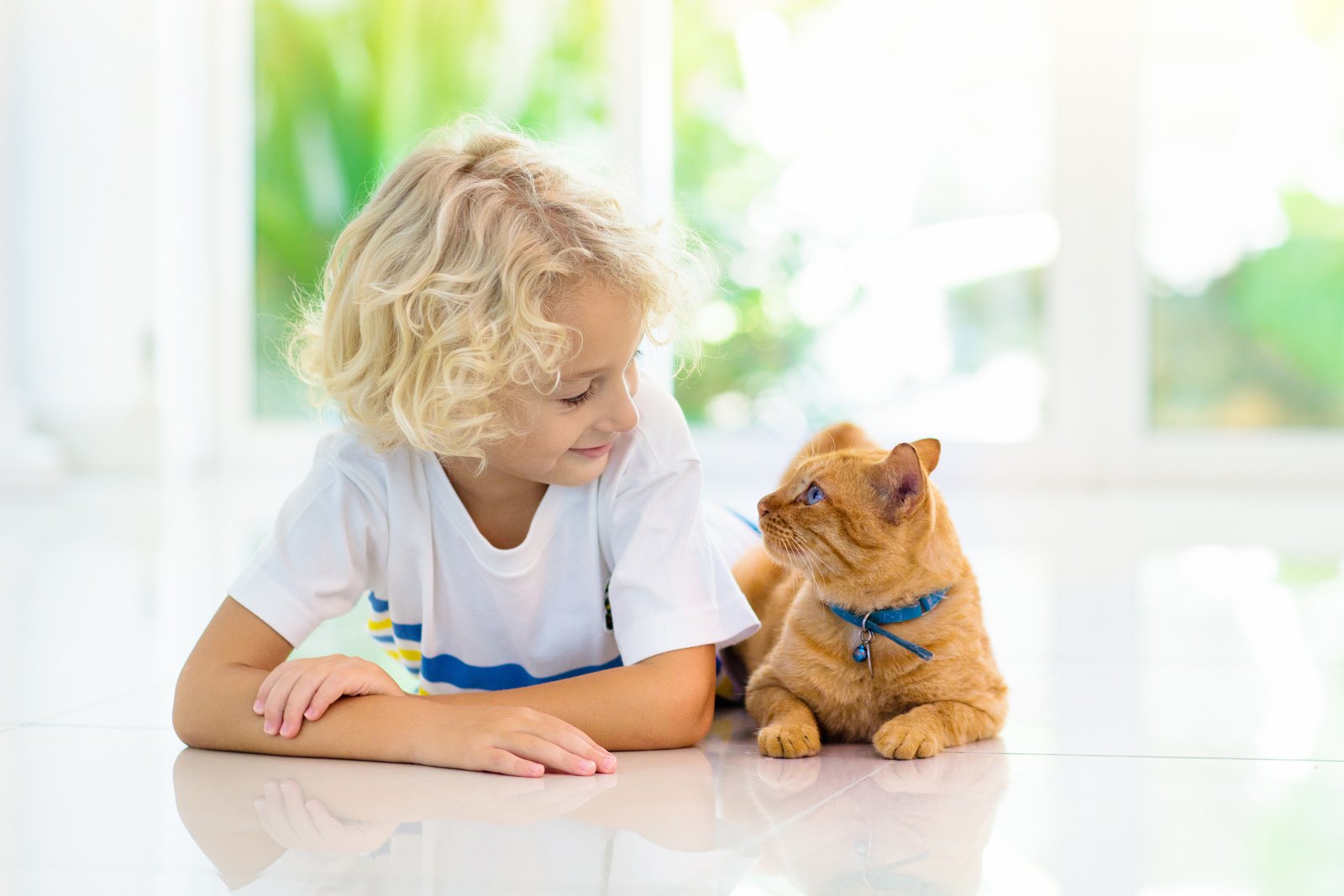 Child feeding home cat. Kids and pets.